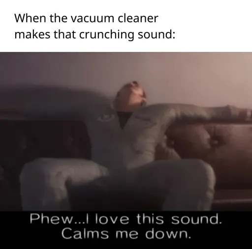 When the vacuum cleaner makes that crunching sound: (image below) Phew... I love this sound. Calms me down.